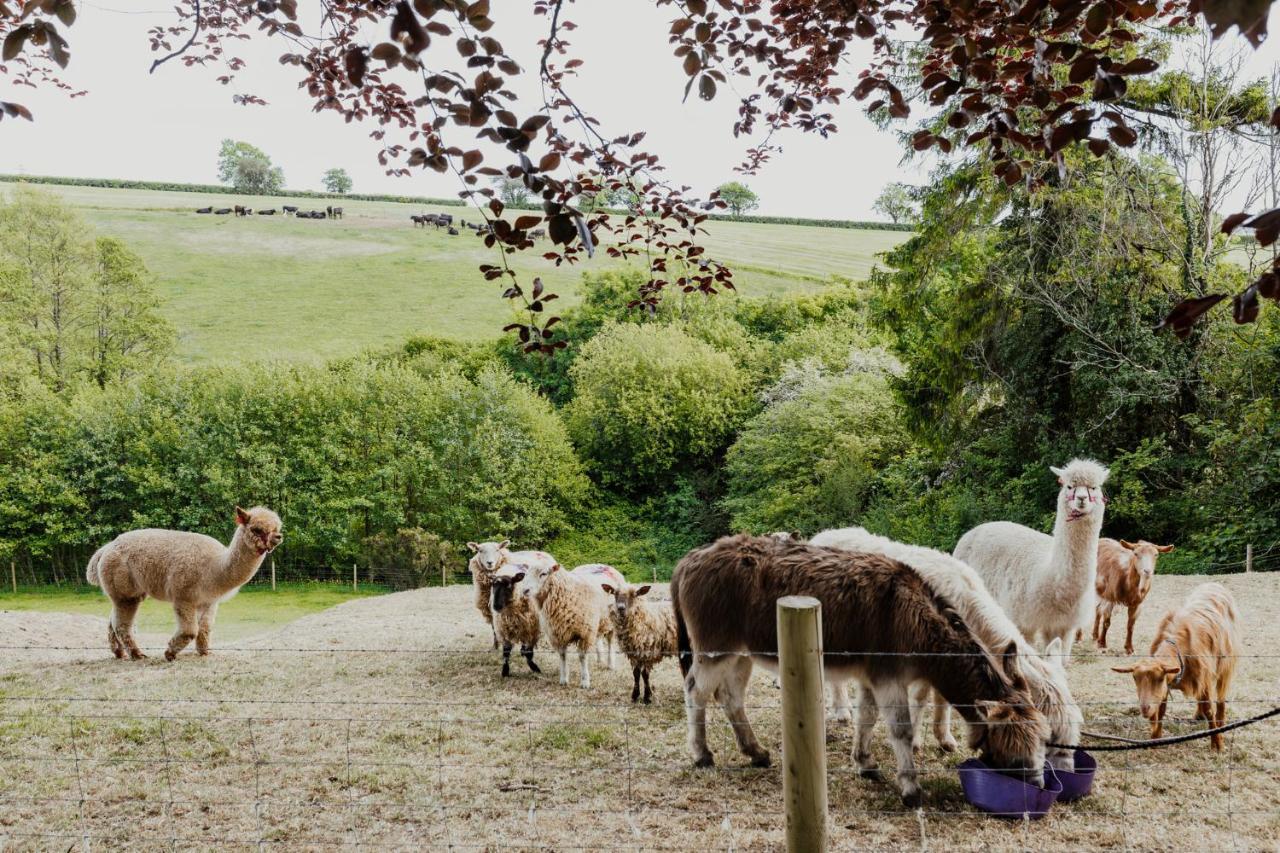 Smeaton Farm Luxury B&B St Mellion Luaran gambar